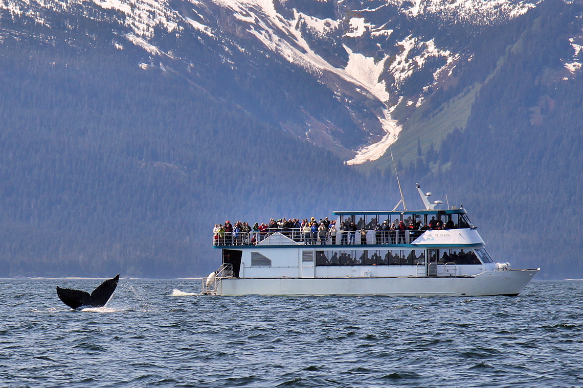 Whale watching boat near Juneau, Alaska