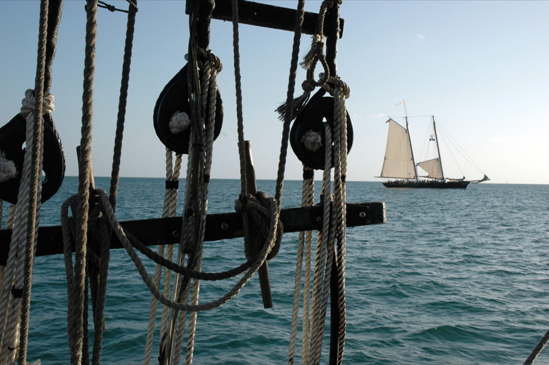 Offshore water near Key West for dolphin and eco tour planning