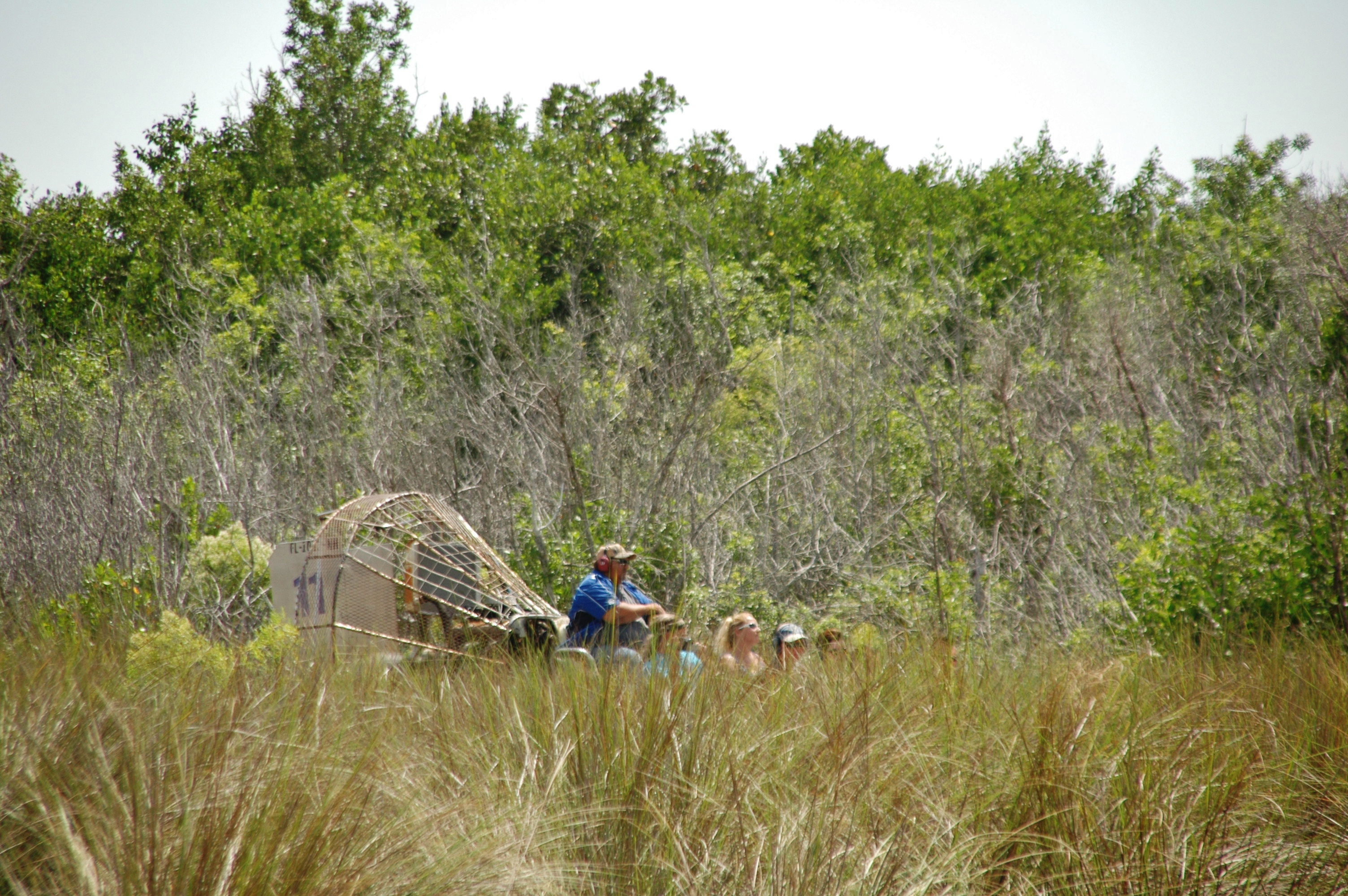 Florida airboat ride context for wildlife tour planning